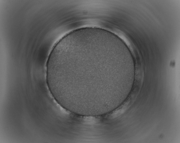 X0000091480807200708161417