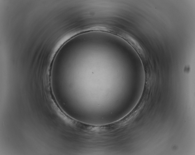 X0000091480808200708161417