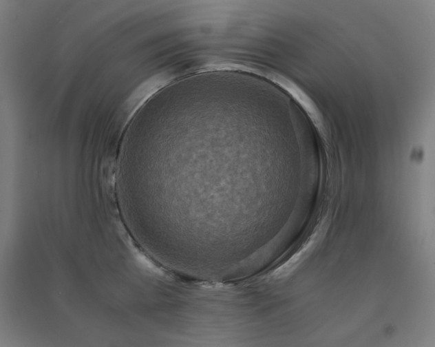 X0000091480809200708161417