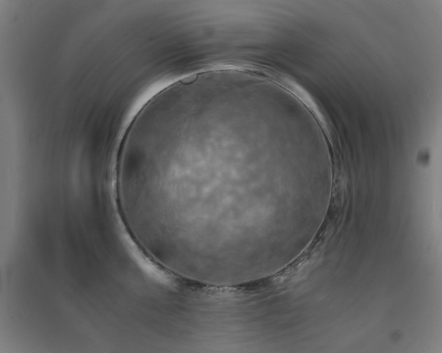 X0000091480811200708161417