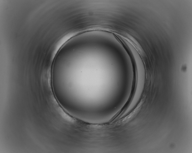 X0000091480812200708161417