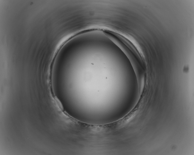 X0000091480815200708161417