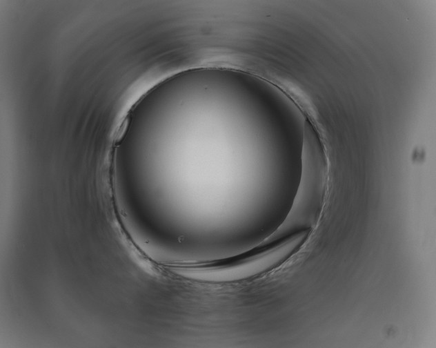 X0000091480816200708161417