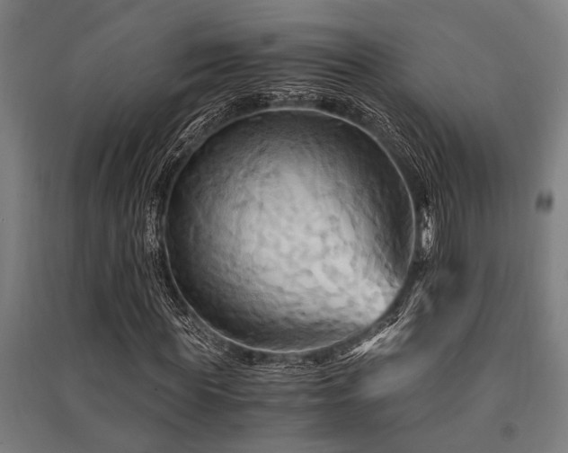 X0000091480819200708161417