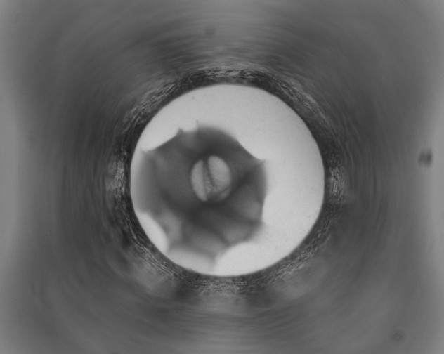 X0000091480820200708161417