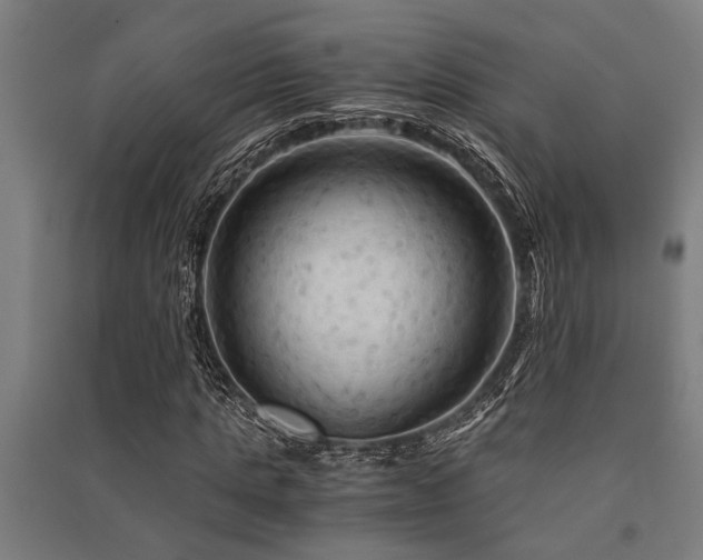 X0000091480821200708161417