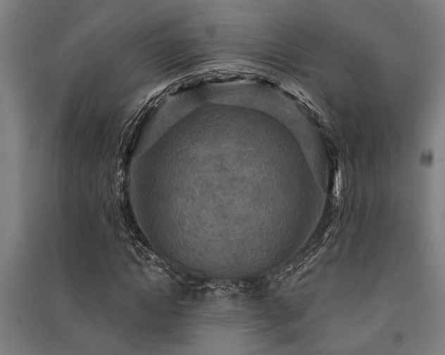 X0000091480822200708161417