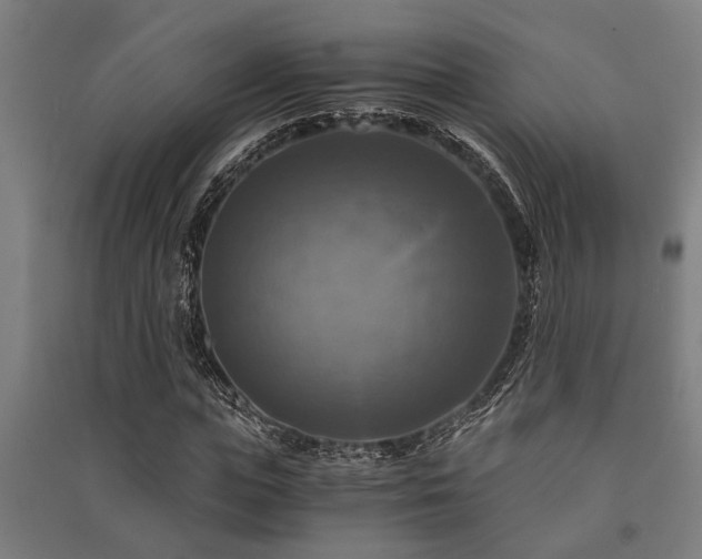 X0000091480823200708161417