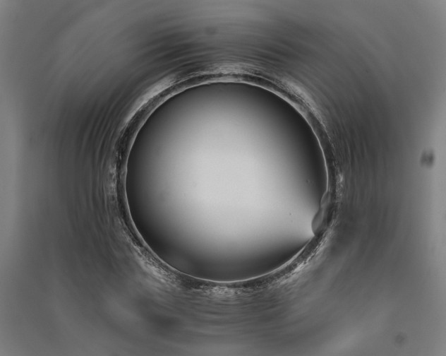 X0000091480827200708161417