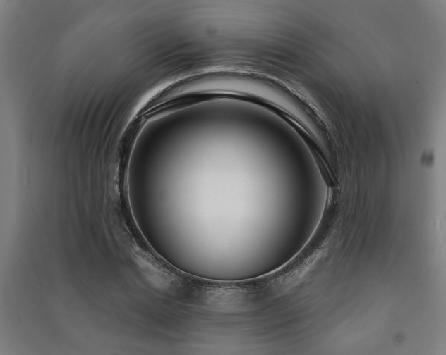 X0000091480830200708161417