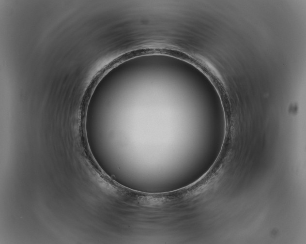 X0000091480831200708161417