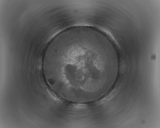 X0000091480833200708161417