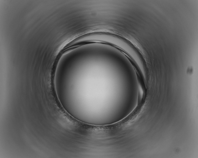 X0000091480834200708161417