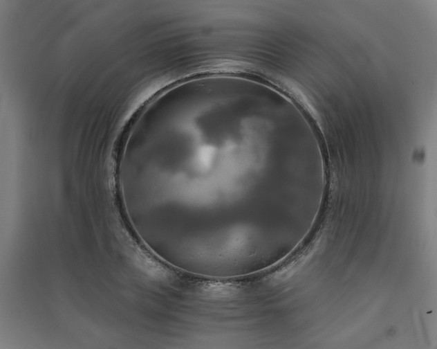 X0000091480835200708161417