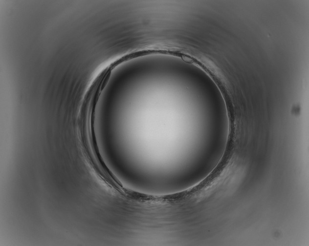 X0000091480838200708161417