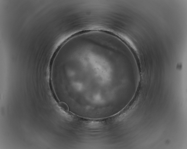 X0000091480839200708161417