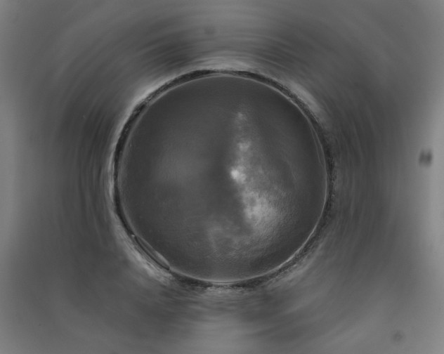 X0000091480840200708161417
