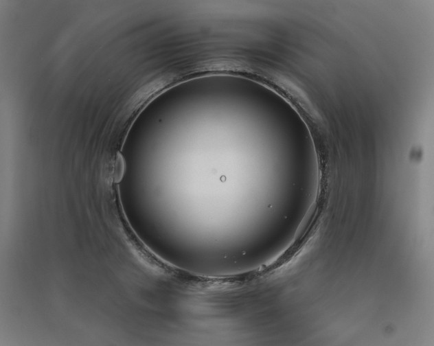 X0000091480841200708161417