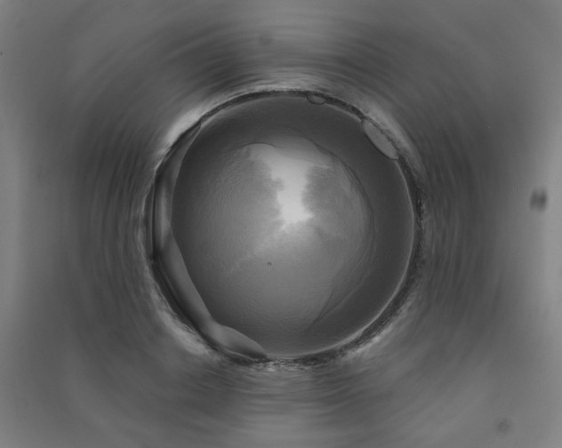 X0000091480842200708161417