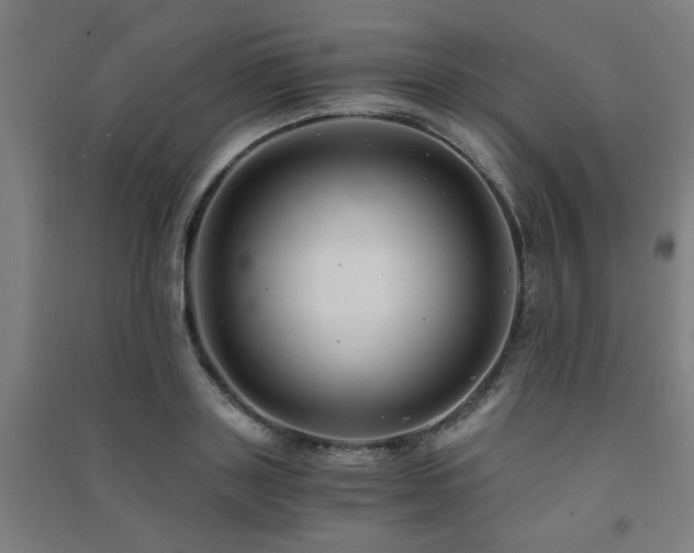 X0000091480843200708161417