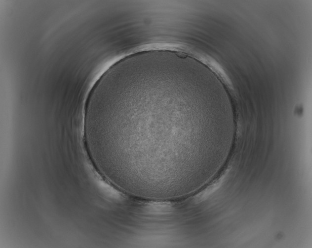 X0000091480844200708161417
