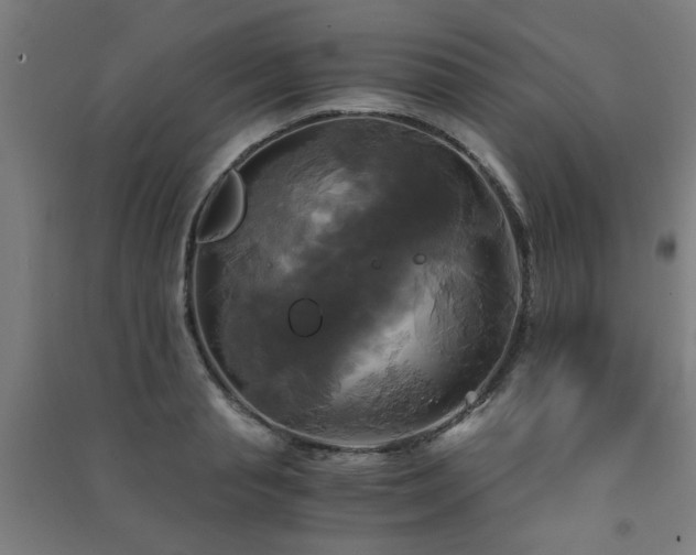 X0000091480845200708161417