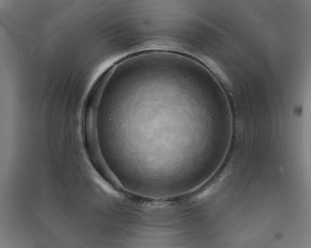 X0000091480846200708161417