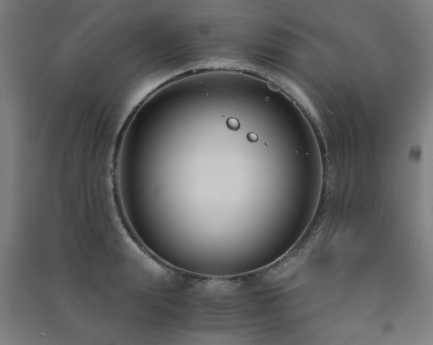 X0000091480847200708161417