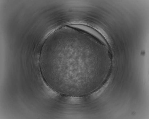 X0000091480849200708161417
