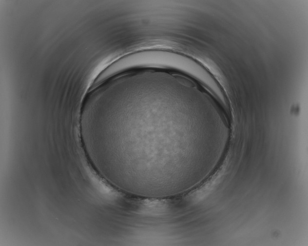 X0000091480850200708161417