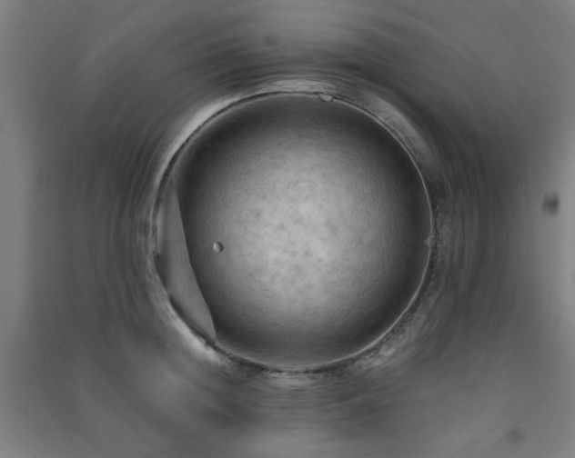 X0000091480852200708161417