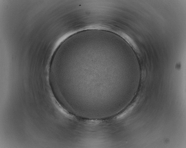 X0000091480854200708161417