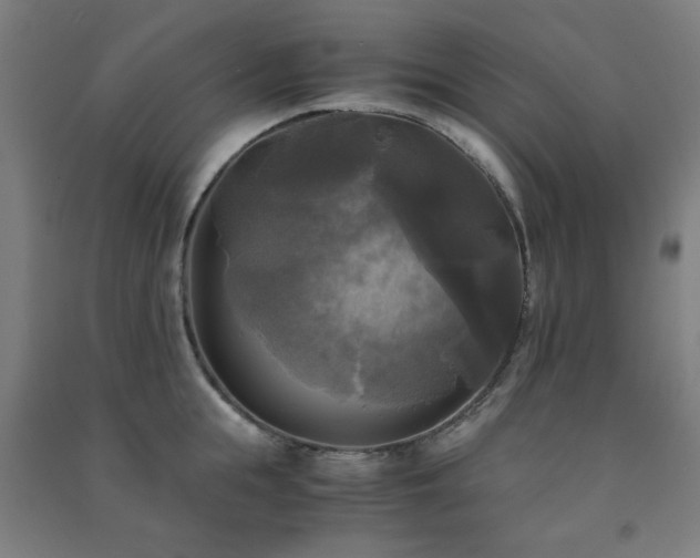 X0000091480855200708161417