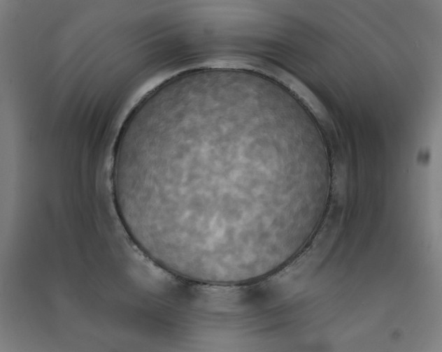 X0000091480856200708161417