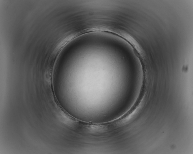 X0000091480857200708161417