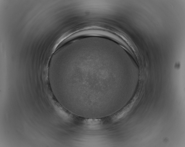 X0000091480858200708161417