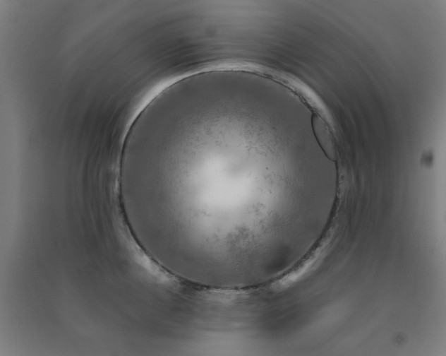 X0000091480860200708161417