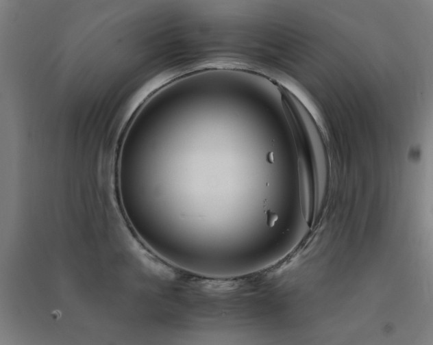 X0000091480861200708161417