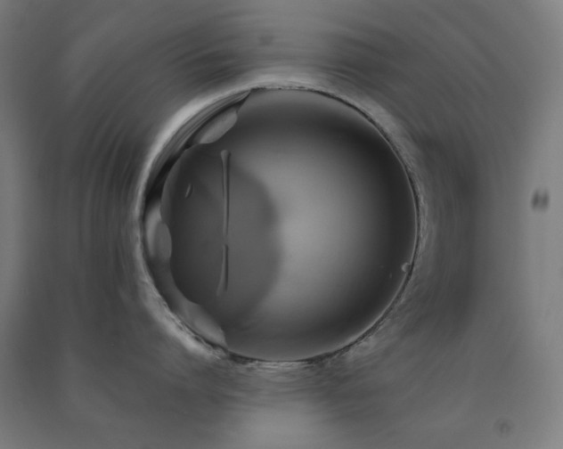 X0000091480864200708161417