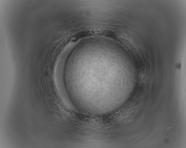 X0000091480865200708161417