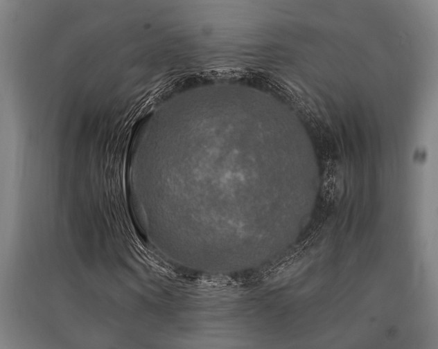 X0000091480866200708161416