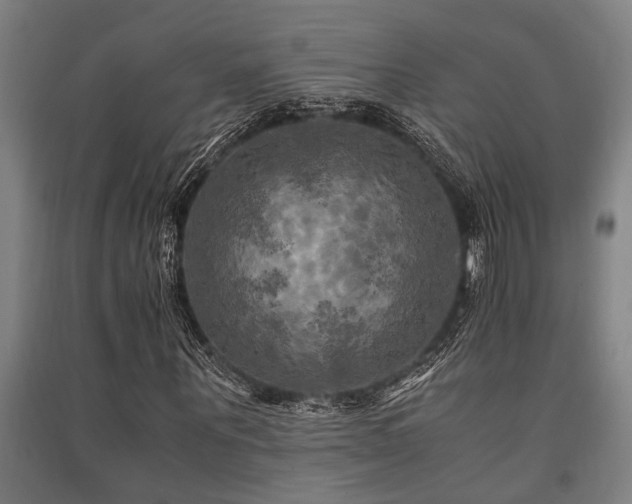 X0000091480867200708161416