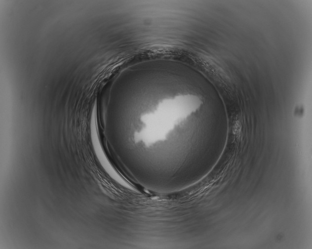 X0000091480868200708161416