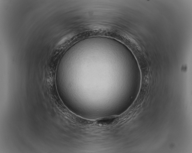 X0000091480869200708161416