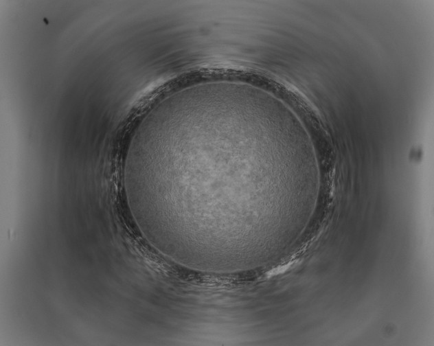 X0000091480870200708161416
