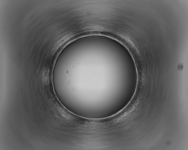 X0000091480873200708161416