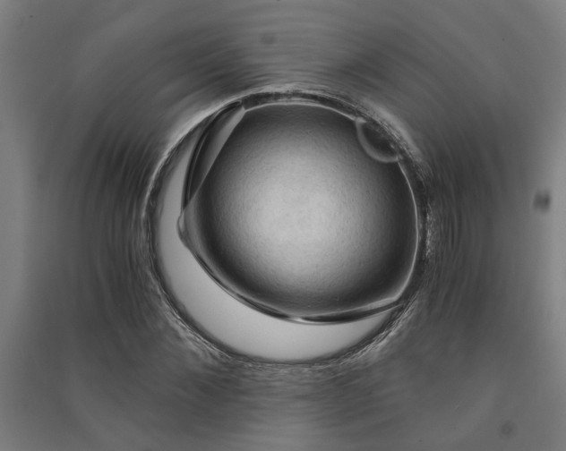 X0000091480876200708161416