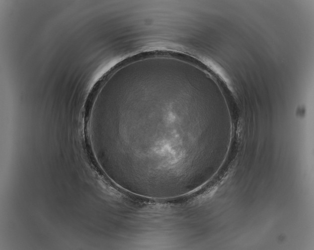 X0000091480877200708161416