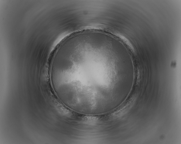 X0000091480878200708161416