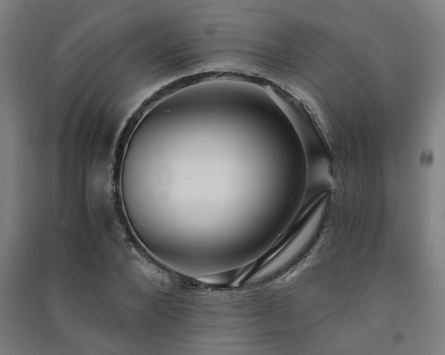X0000091480880200708161416